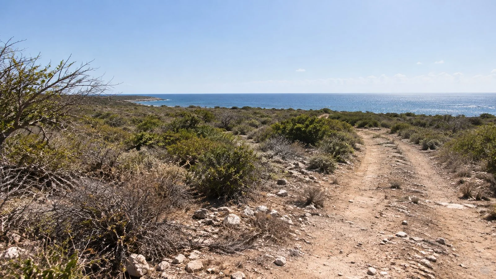 Undeveloped coastal land with a rough track leading toward the sea