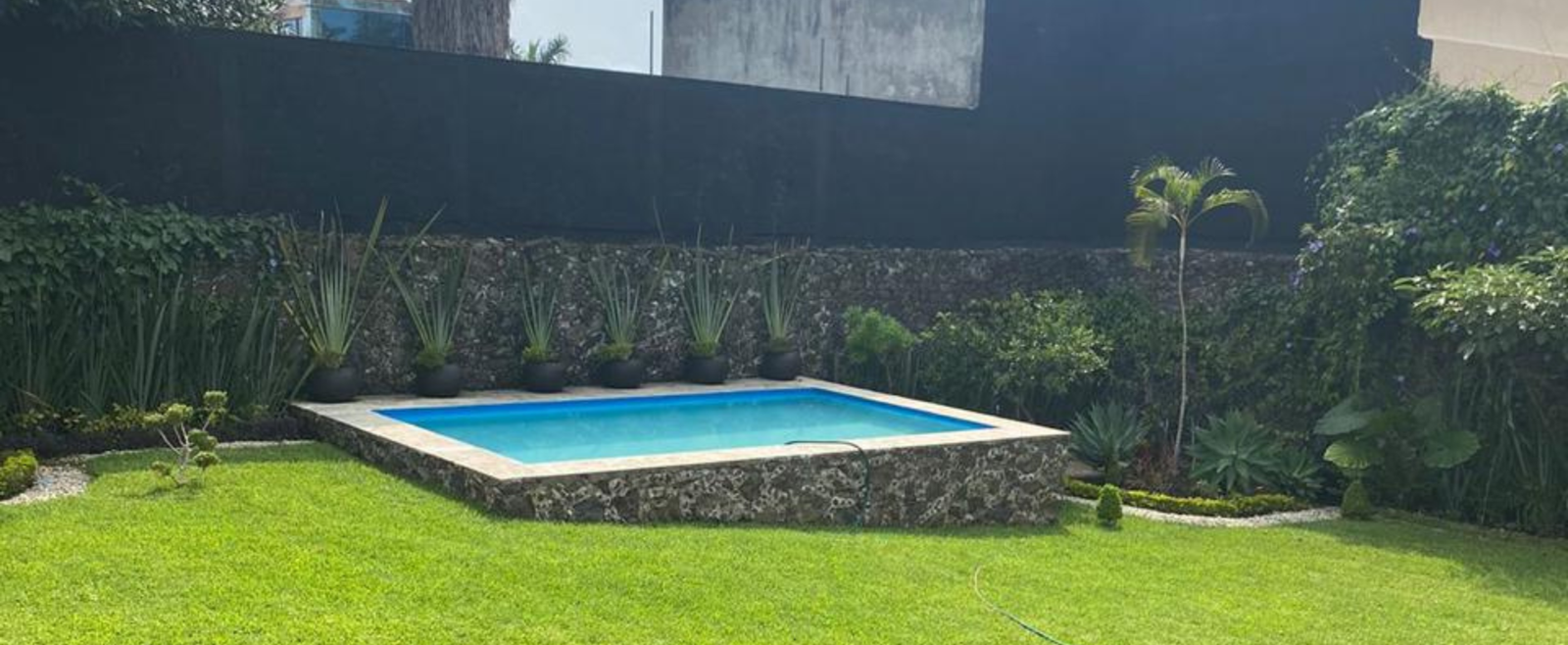 Casa en Cuernavaca — Jardín trasero con alberca